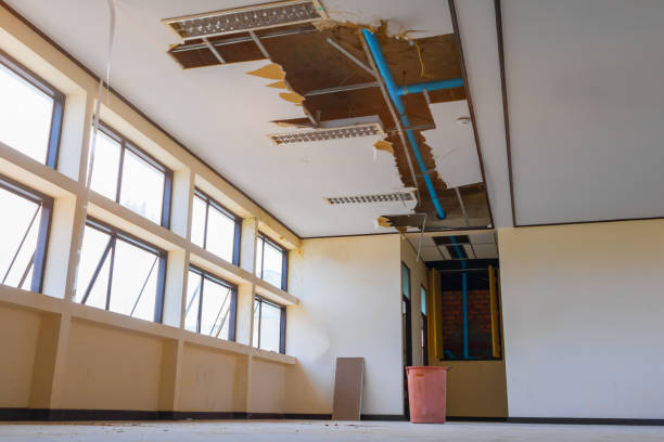 Best Water damage restoration near me  in Greenacres, CA