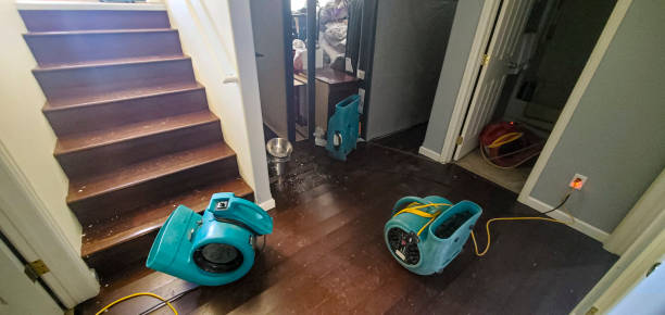 Best Carpet water damage restoration  in Greenacres, CA