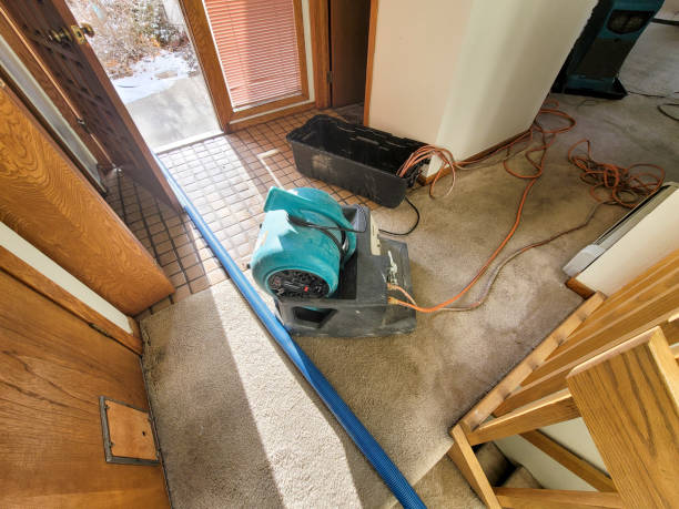 Best Water damage restoration near me  in Greenacres, CA