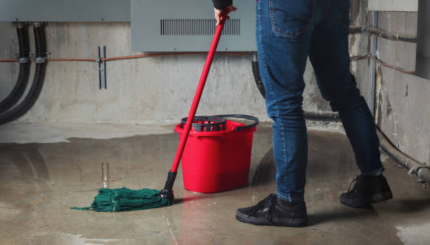 Best Ceiling water damage repair  in Greenacres, CA