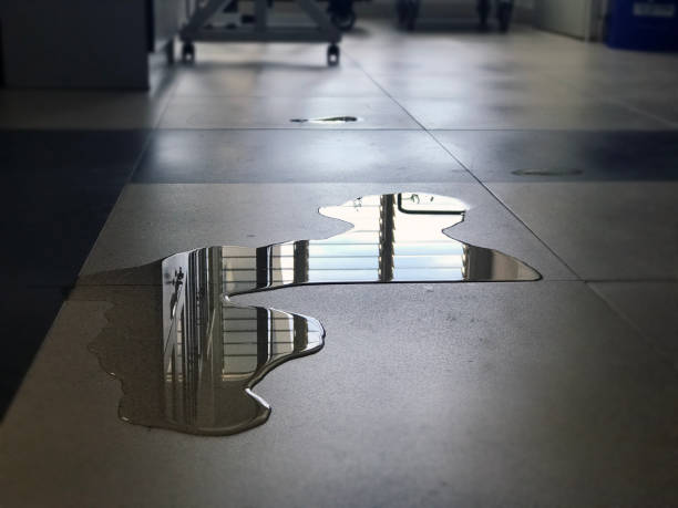 Best Water damage contractors near me  in Greenacres, CA