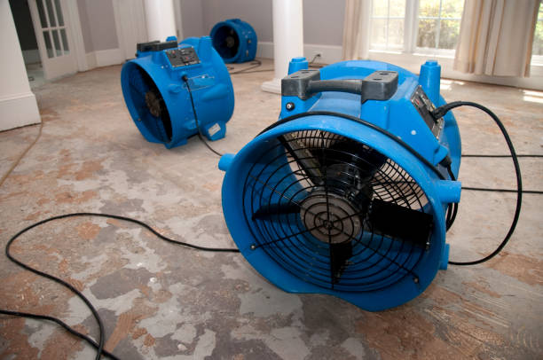 Best Water damage mitigation services  in Greenacres, CA