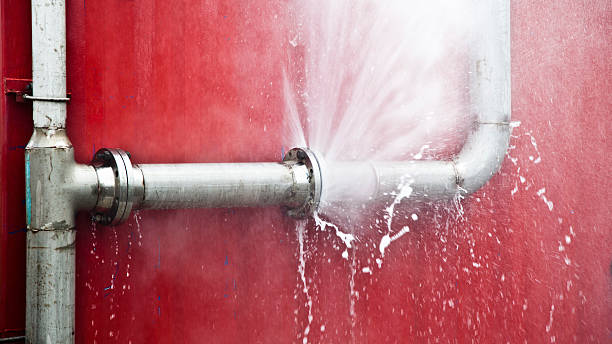 Best Water damage cleanup near me  in Greenacres, CA